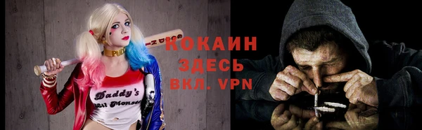 индика Железногорск-Илимский