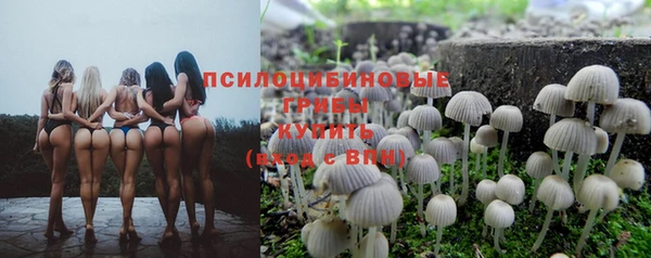 МДПВ Абинск