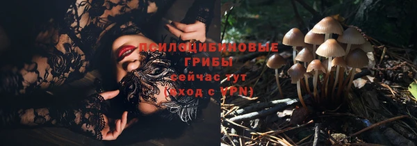 МДПВ Абинск