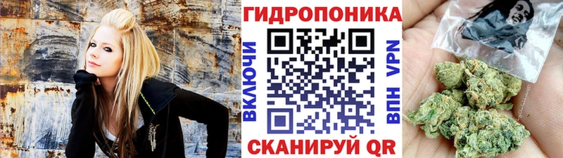 Бошки марихуана семена  Зерноград 